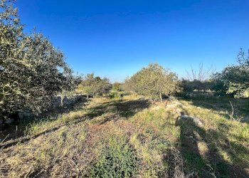 Foto 12 - Villa IPPODROMO/SPINAGALLO, Siracusa - foto 12