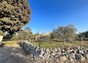 Foto 15 - Villa IPPODROMO/SPINAGALLO, Siracusa - foto 15