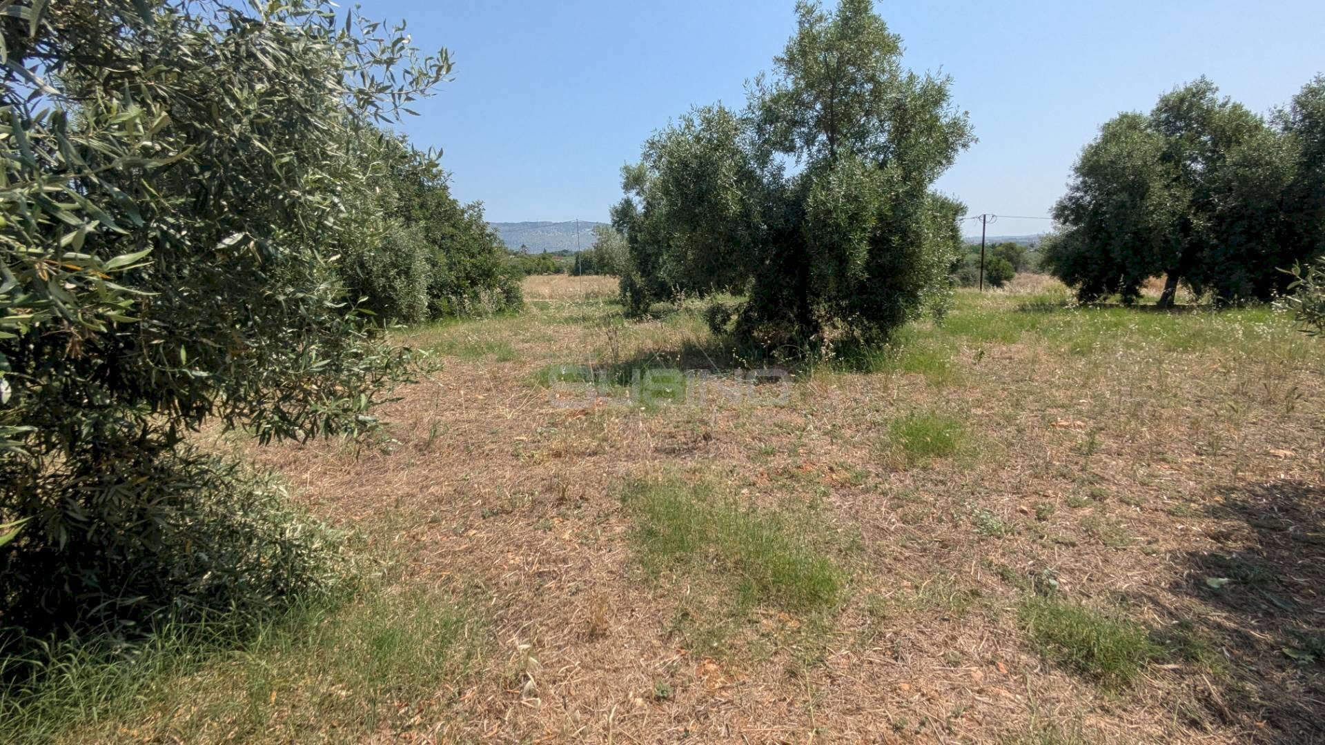 Foto 2 - Agricultural land CONTRADA CUGNO DI CANNE, Floridia - photo 2