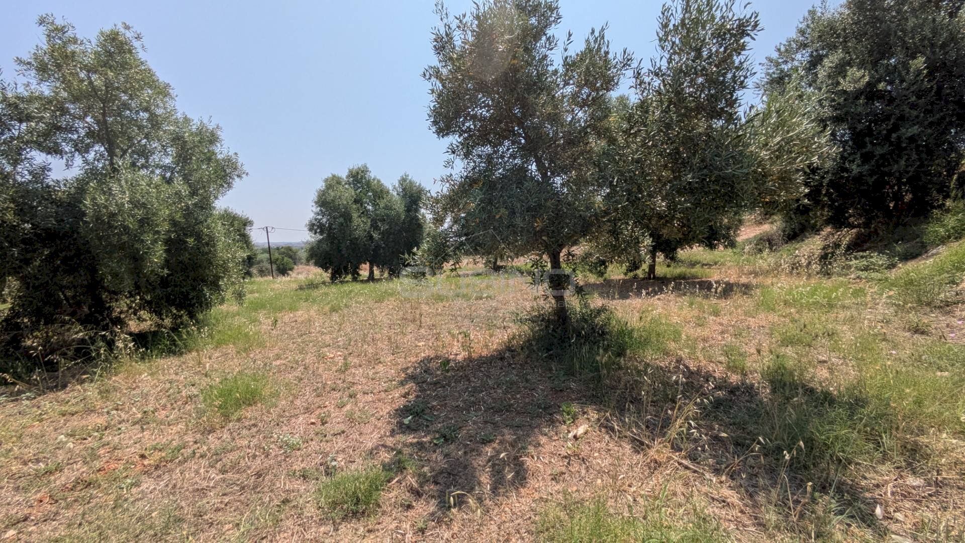 Foto 1 - Agricultural land CONTRADA CUGNO DI CANNE, Floridia - photo 1