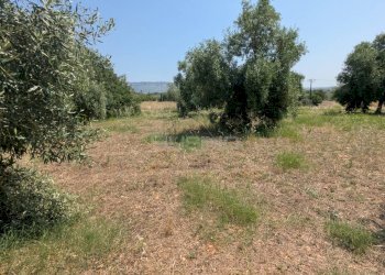 Foto 2 - Agricultural land CONTRADA CUGNO DI CANNE, Floridia - photo 2