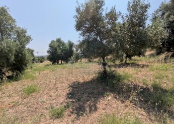 Foto 1 - Agricultural land CONTRADA CUGNO DI CANNE, Floridia - photo 1