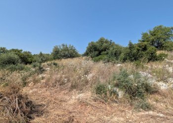 Foto 8 - Agricultural land CONTRADA CUGNO DI CANNE, Floridia - photo 8