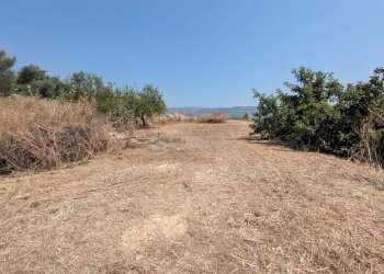 Foto 10 - Agricultural land CONTRADA CUGNO DI CANNE, Floridia - photo 10