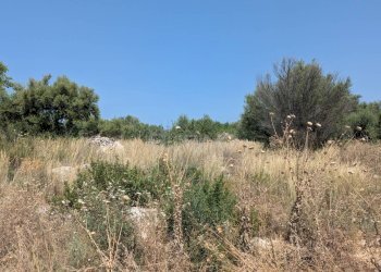 Foto 12 - Agricultural land CONTRADA CUGNO DI CANNE, Floridia - photo 12