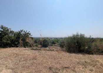 Foto 13 - Agricultural land CONTRADA CUGNO DI CANNE, Floridia - photo 13