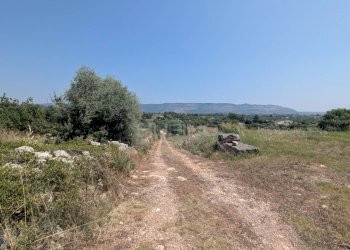 Foto 15 - Agricultural land CONTRADA CUGNO DI CANNE, Floridia - photo 15