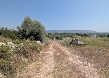 Foto 16 - Agricultural land CONTRADA CUGNO DI CANNE, Floridia - photo 16