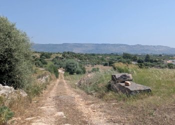 Foto 17 - Agricultural land CONTRADA CUGNO DI CANNE, Floridia - photo 17