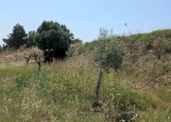 Foto 18 - Agricultural land CONTRADA CUGNO DI CANNE, Floridia - photo 18