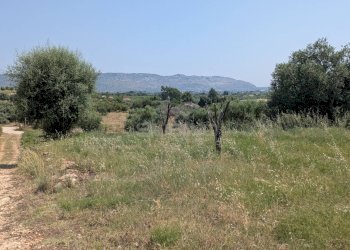 Foto 20 - Agricultural land CONTRADA CUGNO DI CANNE, Floridia - photo 20