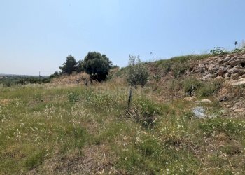 Foto 22 - Agricultural land CONTRADA CUGNO DI CANNE, Floridia - photo 22