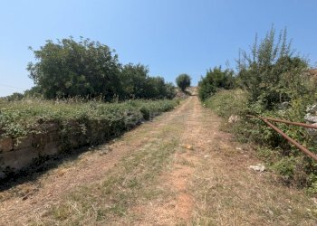 Foto 25 - Agricultural land CONTRADA CUGNO DI CANNE, Floridia - photo 25