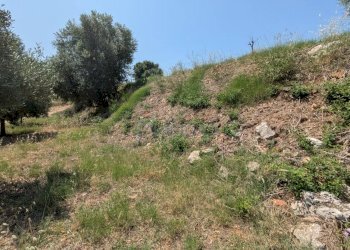 Foto 27 - Agricultural land CONTRADA CUGNO DI CANNE, Floridia - photo 27