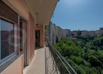 Foto 3 - Appartamento Via Firenze
 
63, Frosinone - foto 3