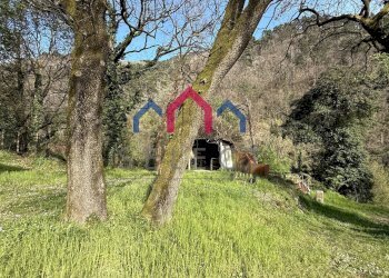 Foto 44 - Independent house Villa Basilica - photo 44