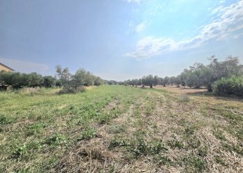 Foto 1 - Terreno agricolo Via Moncoccitto, Cepagatti - foto 1