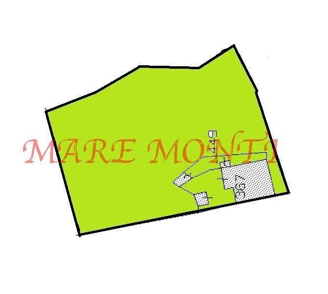 Foto 3 - Villa a Schiera via santuario, Savona - foto 3