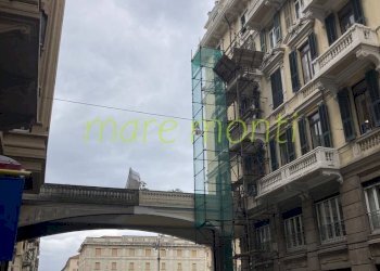 Foto 7 - Shop via sauro, Savona - photo 6