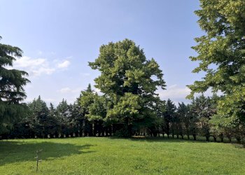 Foto 25 - Villa via valerio faccini, Copparo - foto 25