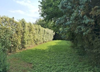 Foto 26 - Villa via valerio faccini, Copparo - foto 26