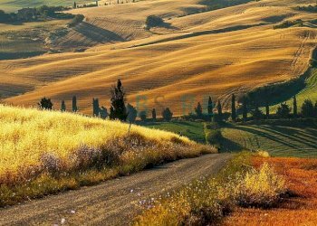 Foto 1 - Hotel Sport Resort Ristorante Case Vacanza, Assisi - foto 1