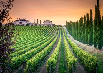 Foto 9 - Hotel Sport Resort Ristorante Case Vacanza, Assisi - foto 9