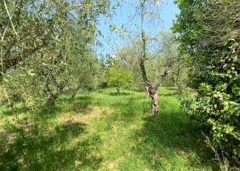 Foto 19 - Casa indipendente via palombara, Giuliano di Roma - foto 19