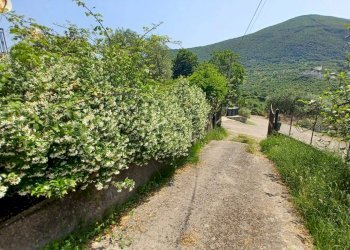 Foto 22 - Casa indipendente via palombara, Giuliano di Roma - foto 22