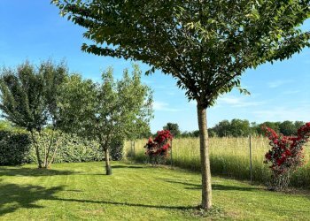 Foto 26 - Villa Via Leghissa
 
22, San Pier d'Isonzo - foto 26