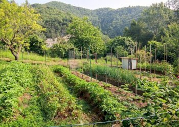 Foto 28 - Rustico Via Roma
 
6, Roccaverano - foto 28