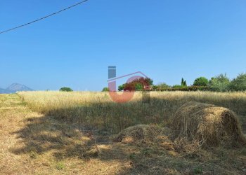 Foto 2 - Agricultural land Contrada le murate, Benevento - photo 2