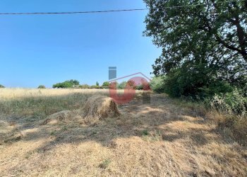 Foto 5 - Agricultural land Contrada le murate, Benevento - photo 5