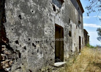 Foto 7 - Rustico Contrada Pietraserica, Pollica - foto 7