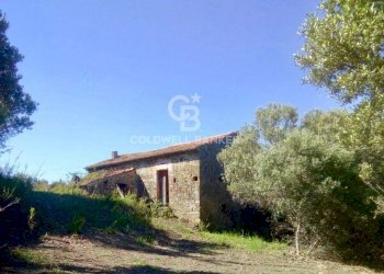 Foto 8 - Rustico Contrada Pietraserica, Pollica - foto 8