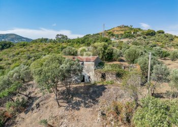 Foto 3 - Rustico Contrada Pietraserica, Pollica - foto 3