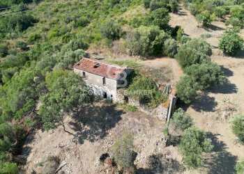 Foto 5 - Rustico Contrada Pietraserica, Pollica - foto 5