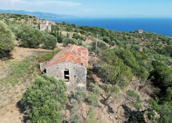 Foto 9 - Rustico Contrada Pietraserica, Pollica - foto 9