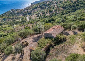 Foto 10 - Rustico Contrada Pietraserica, Pollica - foto 10