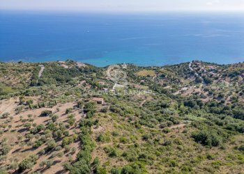 Foto 11 - Rustico Contrada Pietraserica, Pollica - foto 11