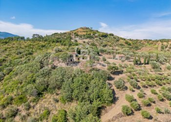 Foto 12 - Rustico Contrada Pietraserica, Pollica - foto 12