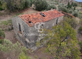 Foto 13 - Rustico Contrada Pietraserica, Pollica - foto 13