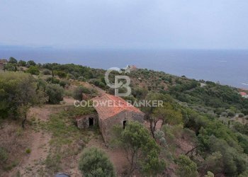 Foto 15 - Rustico Contrada Pietraserica, Pollica - foto 15