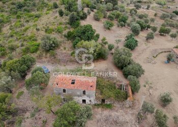 Foto 16 - Rustico Contrada Pietraserica, Pollica - foto 16