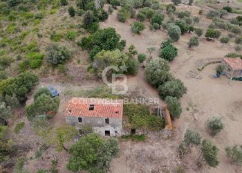 Foto 18 - Rustico Contrada Pietraserica, Pollica - foto 18