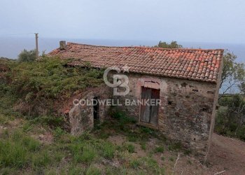 Foto 19 - Rustico Contrada Pietraserica, Pollica - foto 19