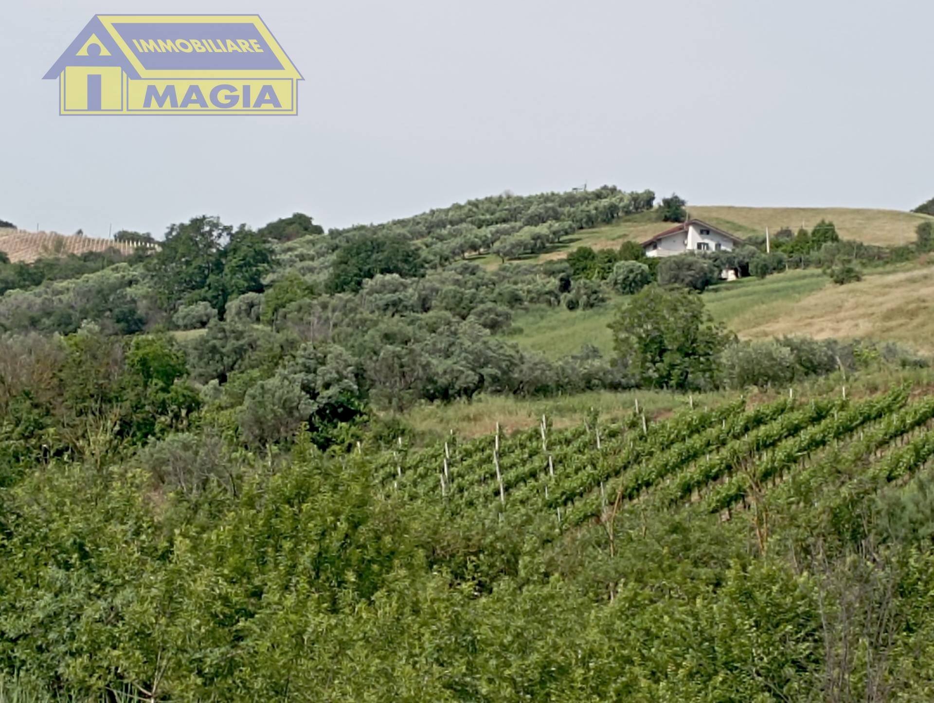 Foto 1 - Terreno agricolo Ancarano - foto 1