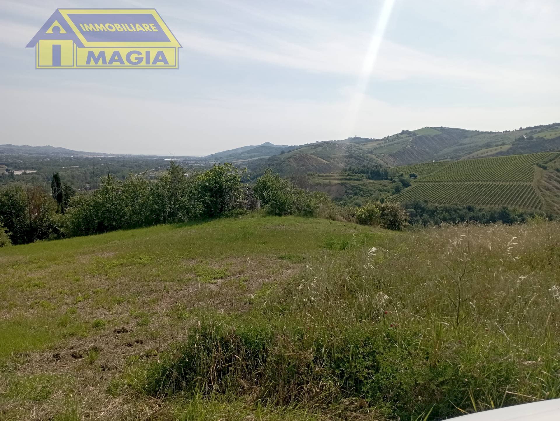 Foto 2 - Terreno agricolo Ancarano - foto 2