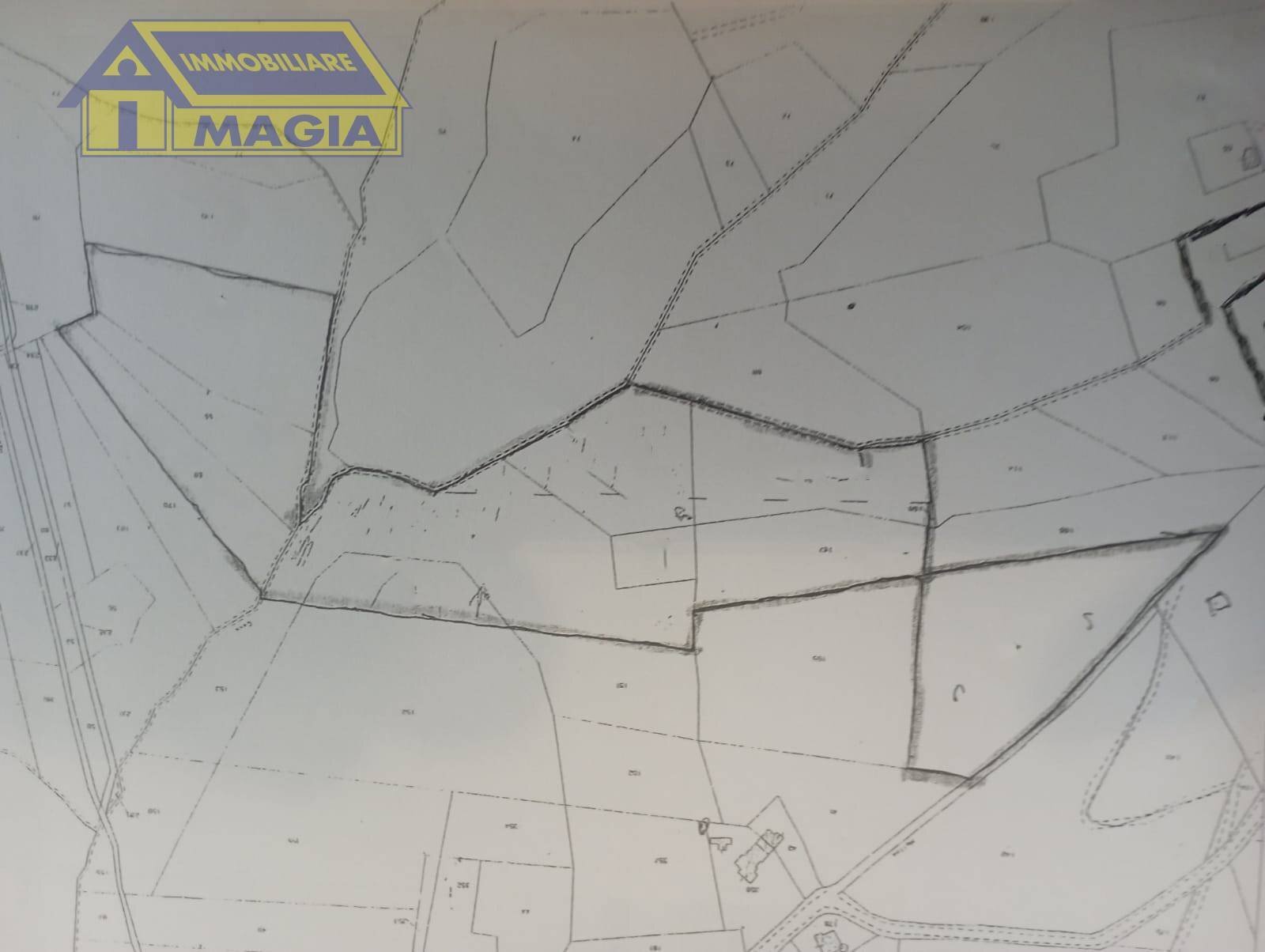 Foto 9 - Terreno agricolo Ancarano - planimetria 1