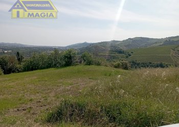 Foto 2 - Terreno agricolo Ancarano - foto 2